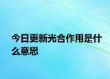 今日更新光合作用是什么意思
