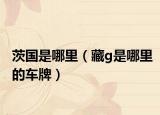 茨国是哪里（藏g是哪里的车牌）