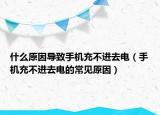 什么原因导致手机充不进去电（手机充不进去电的常见原因）