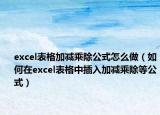 excel表格加减乘除公式怎么做（如何在excel表格中插入加减乘除等公式）