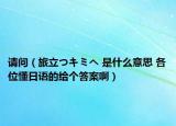 请问（旅立つキミへ 是什么意思 各位懂日语的给个答案啊）