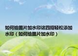 如何给图片加水印这四招轻松添加水印（如何给图片加水印）