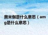 奥米伽是什么意思（amg是什么意思）