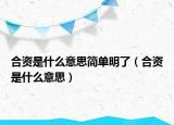 合资是什么意思简单明了（合资是什么意思）