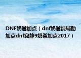 DNF奶爸加点（dnf奶爸纯辅助加点dnf寂静9奶爸加点2017）