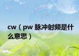 cw（pw 脉冲射频是什么意思）