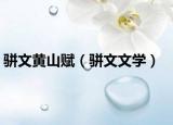 骈文黄山赋（骈文文学）