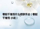 卷起千堆雪什么修辞手法（卷起千堆雪 小说）