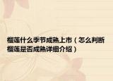 榴莲什么季节成熟上市（怎么判断榴莲是否成熟详细介绍）