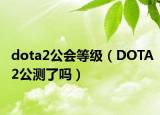 dota2公会等级（DOTA2公测了吗）