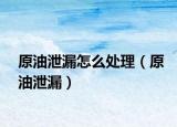 原油泄漏怎么处理（原油泄漏）