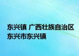 东兴镇 广西壮族自治区东兴市东兴镇