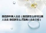 微信群咋踢人出去（微信群怎么样可以踢人出去 微信群怎么才能踢人出去介绍）
