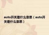 auto开关是什么意思（auto开关是什么意思）
