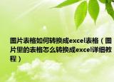 图片表格如何转换成excel表格（图片里的表格怎么转换成excel详细教程）