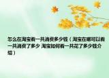 怎么在淘宝看一共消费多少钱（淘宝在哪可以看一共消费了多少 淘宝如何看一共花了多少钱介绍）