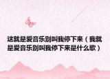 这就是爱音乐别叫我停下来（我就是爱音乐别叫我停下来是什么歌）