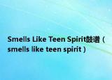 Smells Like Teen Spirit鼓谱（smells like teen spirit）