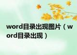 word目录出现图片（word目录出现）