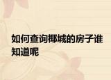 如何查询椰城的房子谁知道呢