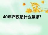 40年产权是什么意思?