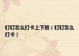 钉钉怎么打卡上下班（钉钉怎么打卡）