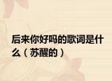 后来你好吗的歌词是什么（苏醒的）