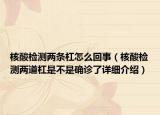 核酸检测两条杠怎么回事（核酸检测两道杠是不是确诊了详细介绍）