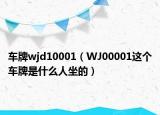 车牌wjd10001（WJ00001这个车牌是什么人坐的）