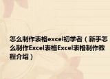 怎么制作表格excel初学者（新手怎么制作Excel表格Excel表格制作教程介绍）