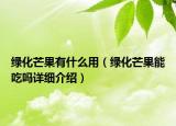 绿化芒果有什么用（绿化芒果能吃吗详细介绍）