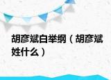 胡彦斌白举纲（胡彦斌姓什么）