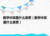 数学中幂是什么意思（数学中幂是什么意思）