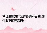今日更新为什么养喜鹊不吉利(为什么不能养喜鹊)