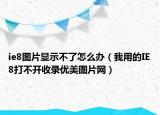 ie8图片显示不了怎么办（我用的IE8打不开收录优美图片网）