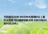手机制式GSM,WCDMA(联通3G)（是什么意思 可以插移动的卡吗 SIM卡有2G和3G区分吗）