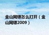 金山网镖怎么打开（金山网镖2009）