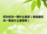 何为惊鸿一瞥什么意思（谁知道惊鸿一瞥是什么意思啊）