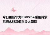 今日更新华为P50Pro+采用鸿蒙系统么非常值得令人期待