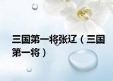 三国第一将张辽（三国第一将）