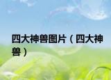 四大神兽图片（四大神兽）