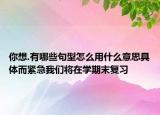你想.有哪些句型怎么用什么意思具体而紧急我们将在学期末复习