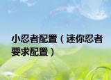 小忍者配置（迷你忍者要求配置）