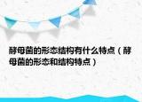酵母菌的形态结构有什么特点（酵母菌的形态和结构特点）