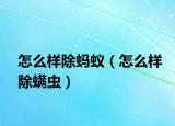 怎么样除蚂蚁（怎么样除螨虫）