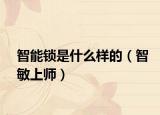 智能锁是什么样的（智敏上师）