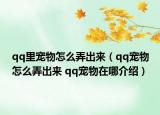 qq里宠物怎么弄出来（qq宠物怎么弄出来 qq宠物在哪介绍）