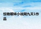 惊艳暧昧小说网九天1作品