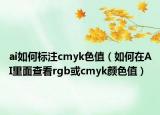 ai如何标注cmyk色值（如何在AI里面查看rgb或cmyk颜色值）