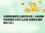 央视频的视频怎么缓存到本地（央视频缓存的视频在手机什么位置 央视频在哪里缓存介绍）